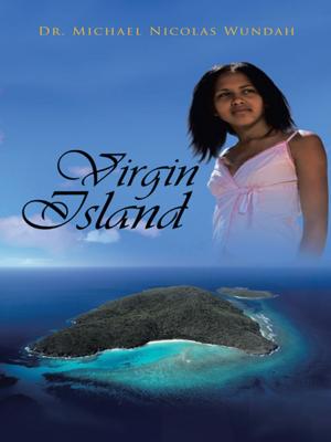 Cover of the book Virgin Island by Miroslav Halza