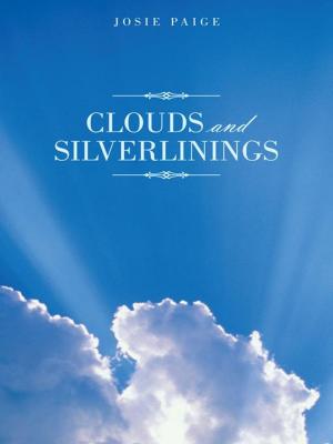 Cover of the book Clouds and Silverlinings by Ali Haji