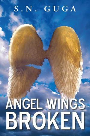 Cover of the book Angel Wings Broken by Joyce Kimaro