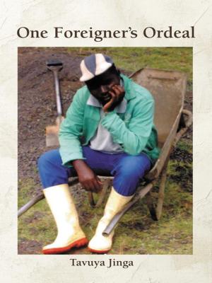 Cover of the book One Foreigner's Ordeal by JULIAN BLACK