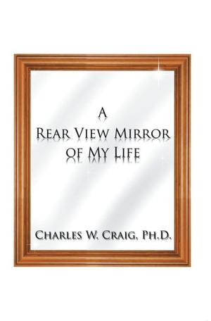 Cover of the book A Rear View Mirror of My Life by Willie G(arcia)