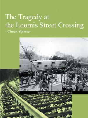 Cover of the book The Tragedy at the Loomis Street Crossing by Jeanne McElvaney