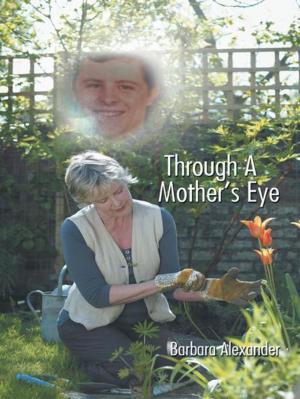 Cover of the book Through a Mother's Eye by Edmund Byrne