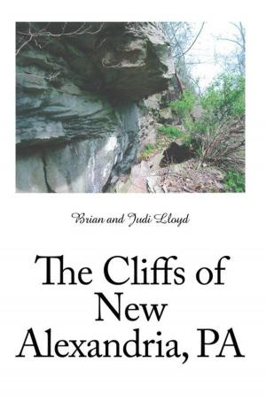 Cover of the book The Cliffs of New Alexandria, Pa by Nash Khatri