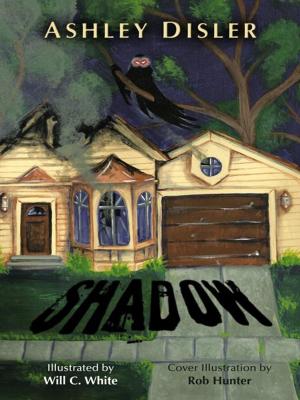Cover of the book Shadow by Johnny Brown