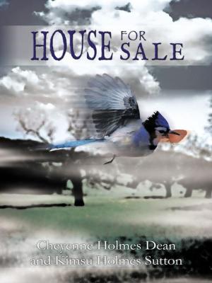 Cover of the book House for Sale by Phebean Ajib? la Ogundip?