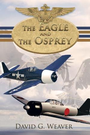 Cover of the book The Eagle and the Osprey by DC Leberknight