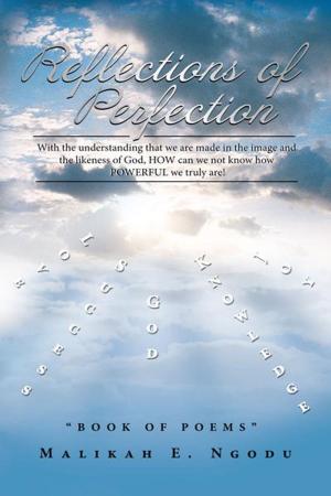 Cover of the book Reflections of Perfection by Chris Harper