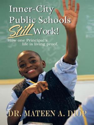 Cover of the book Inner City Public Schools Still Work by Marcus Bruce