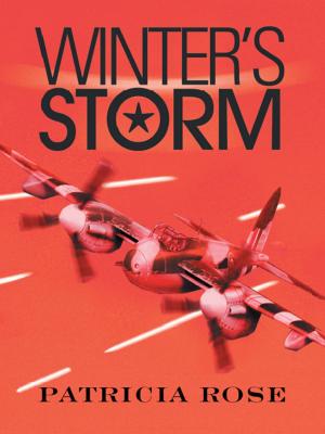 Cover of the book Winter's Storm by Teresa L. Quarker Smith