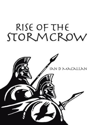 Cover of the book Rise of the Stormcrow by Phil Dyson