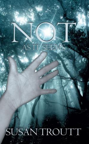 Cover of the book Not as It Seems by Judy-Suzanne Sadler