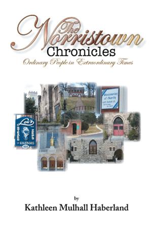 Cover of the book The Norristown Chronicles by Mary Nyambura Muchiri Ph.D.
