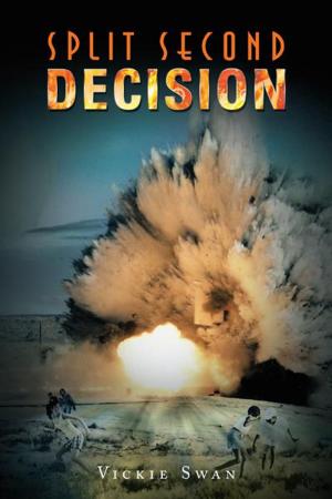 Cover of the book Split Second Decision by Kwame Afadzi Insaidoo