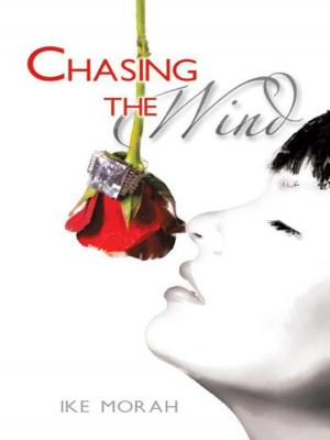 Cover of the book Chasing the Wind by Sandra Jackson
