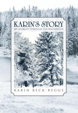 bigCover of the book Karin’S Story by 