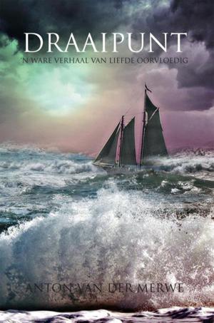 Cover of the book Draaipunt by Cathy Donovan
