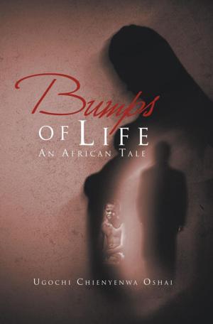 Cover of the book Bumps of Life by Faith V. Langaigne - Jessamy