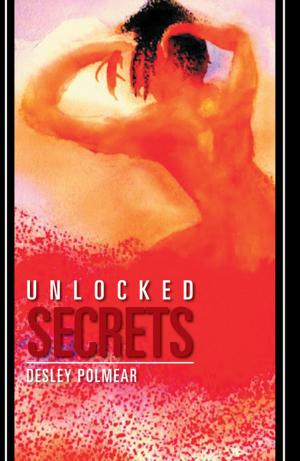 Cover of the book Unlocked Secrets by Mary Brooks