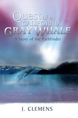 Cover of the book Quest of a California Gray Whale by Rasheda Davis