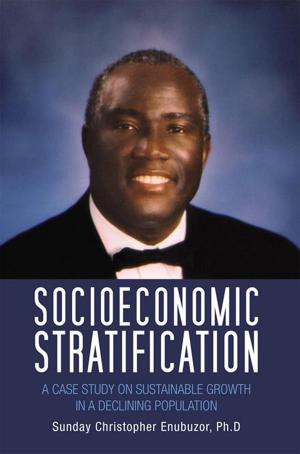 Cover of the book Socioeconomic Stratification by Natasha V. Williams