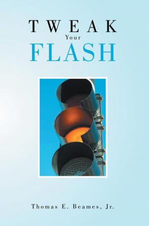 Cover of the book Tweak Your Flash by Raino Arroyo