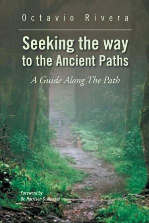 Cover of the book Seeking the Way to the Ancient Paths by Valerie Bradley-Holliday