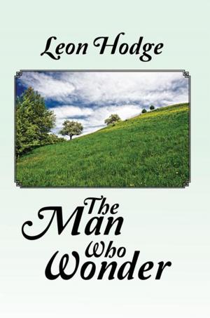 Cover of the book The Man Who Wonder by Vanessa