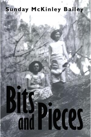 Cover of the book Bits and Pieces by Pieter R. Wiederhold