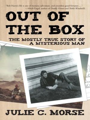 Cover of the book Out of the Box by James Wright, Klay Cone