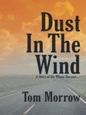 Cover of the book Dust in the Wind by Jack McLaughlin