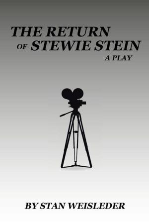 Cover of the book The Return of Stewie Stein by RICHARD E. RICHARDSON