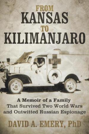 Cover of the book From Kansas to Kilimanjaro by Fr. Steven Scherrer