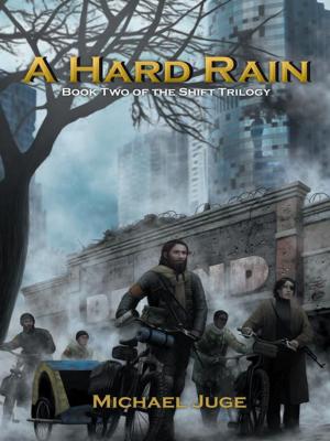 Cover of the book A Hard Rain by Chuck Allen Jr.