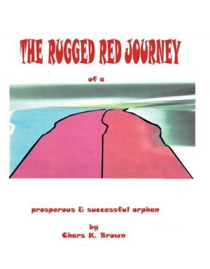 Cover of the book The Rugged Red Journey of a Prosperous and Successful Orphan by M. Todd Henderson