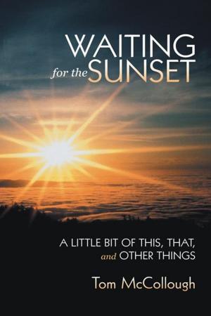 Cover of the book Waiting for the Sunset by Carol Arit Thompson