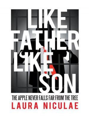 Cover of the book Like Father, Like Son by John C. T. Kim