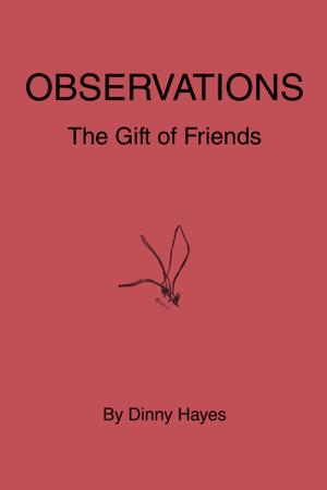 Cover of the book Observations by Michael Ross Stancato