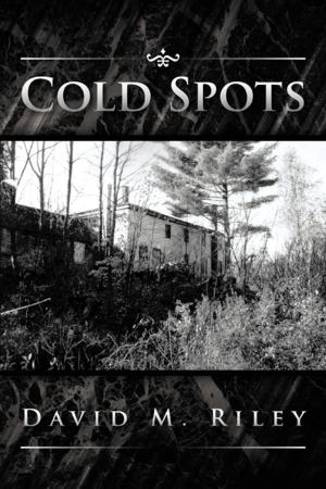 Cover of the book Cold Spots by C. A. Mattay