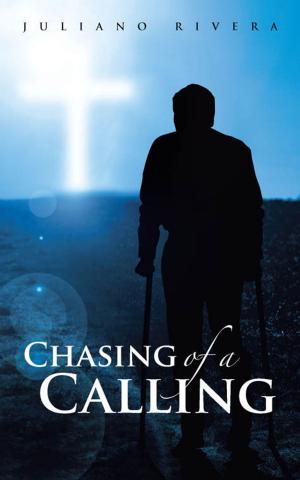 Cover of the book Chasing of a Calling by Ron Parsons