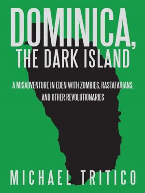 Cover of the book Dominica, the Dark Island by Richard Todd Canton
