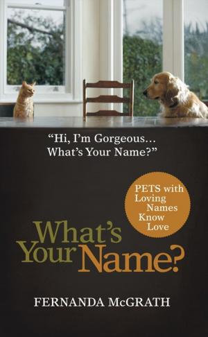 Cover of the book What's Your Name? by Gerald D. Curry