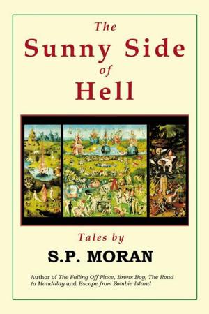 bigCover of the book The Sunny Side of Hell by 