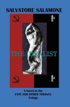 Cover of the book The Idealist by Phil Hermanek