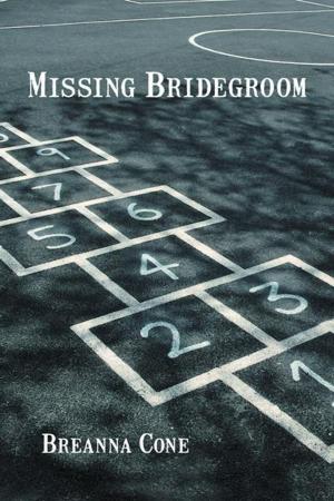 Cover of the book Missing Bridegroom by Joyce Knowles