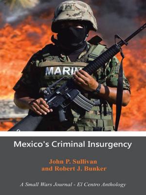 Book cover of Mexico's Criminal Insurgency