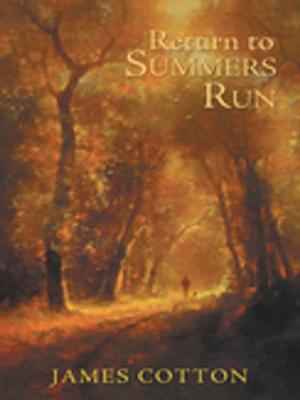 Cover of the book Return to Summers Run by Michel Larocque