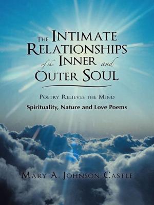 Book cover of The Intimate Relationships of the Inner and Outer Soul