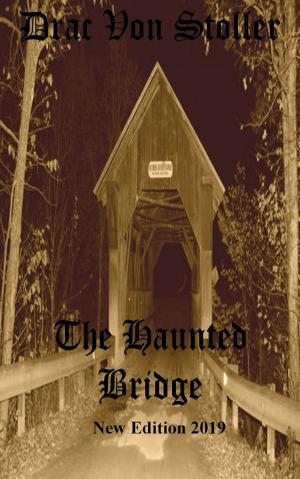Book cover of The Haunted Bridge
