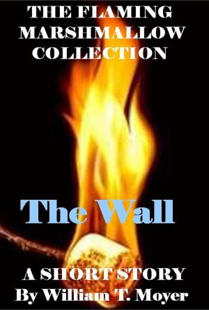 Cover of the book The Wall by william moyer